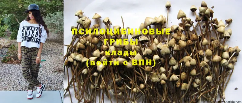 Псилоцибиновые грибы GOLDEN TEACHER  Алапаевск 